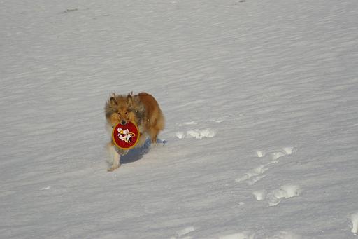 Fotos f. Homepage Galerie 001